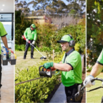 What’s behind the V.I.P. Home Services business?