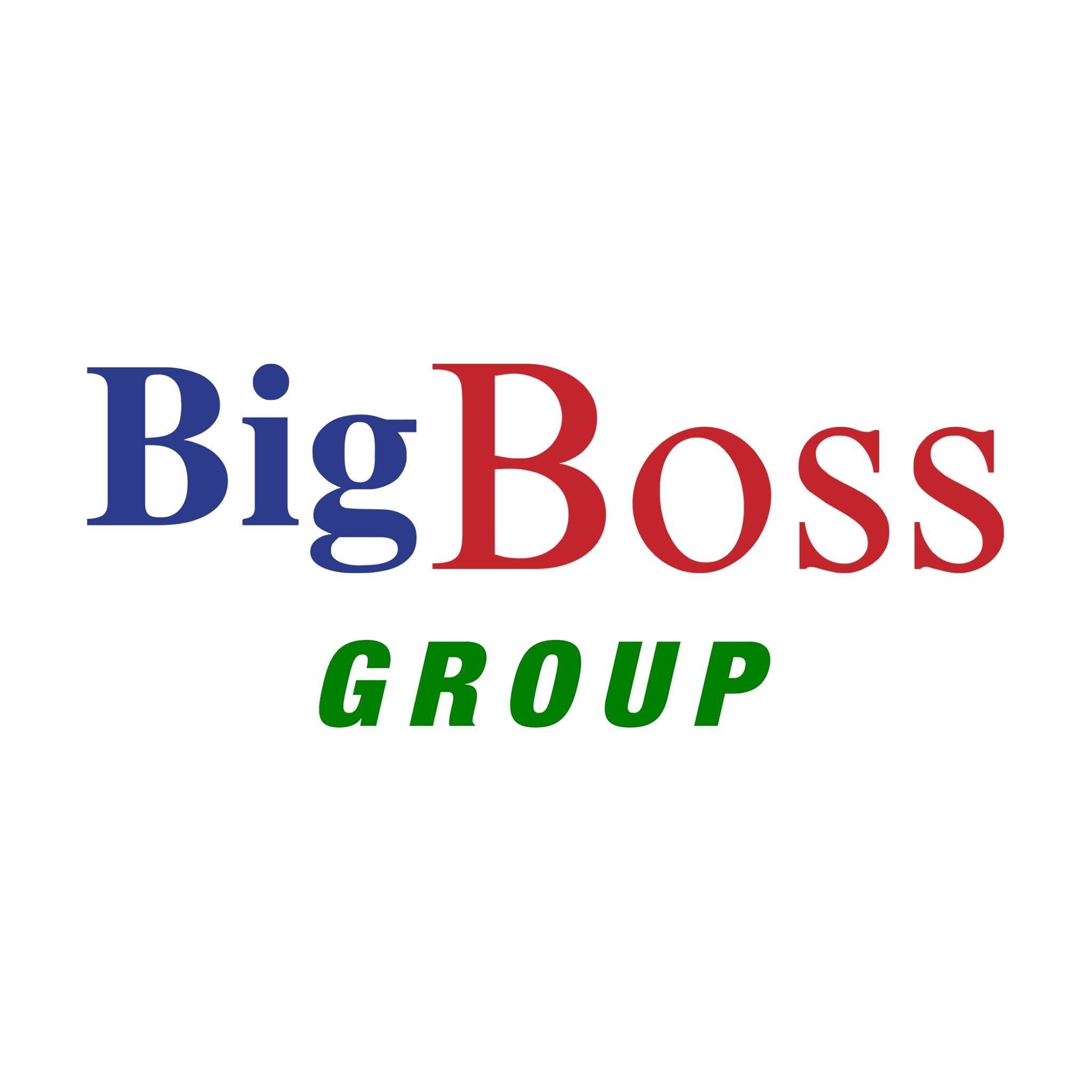 Big Boss Group